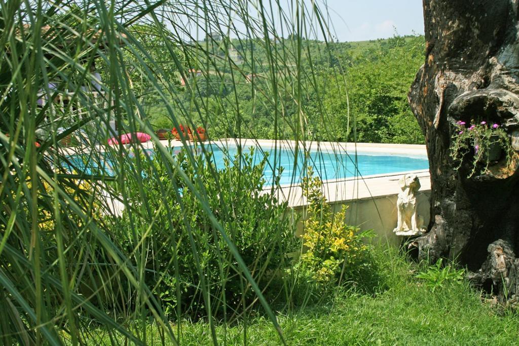 Ormanevi Otantik Hotel Ağva Eksteriør bilde